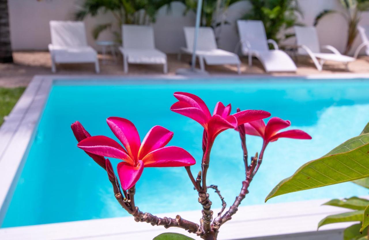 Le Mandala Moris Guesthouse Pointe Aux Canonniers Гранд-Бэй Экстерьер фото